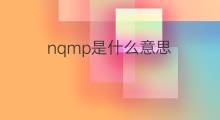 nqmp是什么意思 nqmp的中文翻译、读音、例句