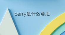 berry是什么意思 berry的中文翻译、读音、例句