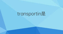 transportin是什么意思 transportin的中文翻译、读音、例句