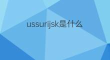ussurijsk是什么意思 ussurijsk的中文翻译、读音、例句