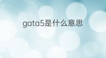gata5是什么意思 gata5的中文翻译、读音、例句
