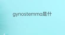 gynostemma是什么意思 gynostemma的中文翻译、读音、例句