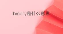 binary是什么意思 binary的中文翻译、读音、例句