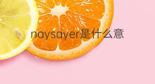 naysayer是什么意思 naysayer的中文翻译、读音、例句