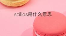 scillas是什么意思 scillas的中文翻译、读音、例句