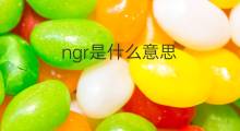 ngr是什么意思 ngr的中文翻译、读音、例句