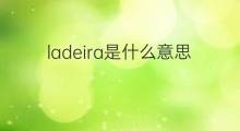 ladeira是什么意思 ladeira的中文翻译、读音、例句