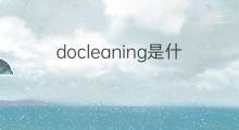 docleaning是什么意思 docleaning的中文翻译、读音、例句