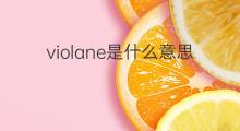 violane是什么意思 violane的中文翻译、读音、例句