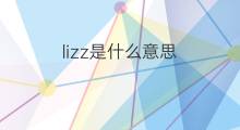 lizz是什么意思 lizz的中文翻译、读音、例句
