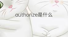 authorize是什么意思 authorize的中文翻译、读音、例句