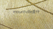 mountville是什么意思 mountville的中文翻译、读音、例句
