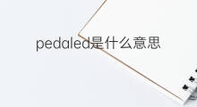 pedaled是什么意思 pedaled的中文翻译、读音、例句