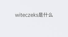witeczeks是什么意思 witeczeks的中文翻译、读音、例句