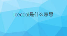 icecool是什么意思 icecool的中文翻译、读音、例句