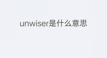 unwiser是什么意思 unwiser的中文翻译、读音、例句