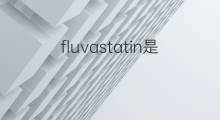 fluvastatin是什么意思 fluvastatin的中文翻译、读音、例句