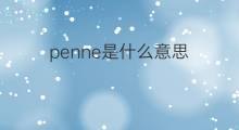 penne是什么意思 penne的中文翻译、读音、例句