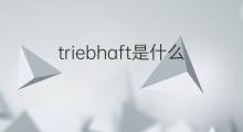 triebhaft是什么意思 triebhaft的中文翻译、读音、例句