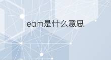 eam是什么意思 eam的中文翻译、读音、例句