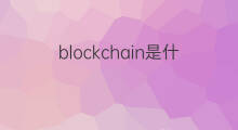blockchain是什么意思 blockchain的中文翻译、读音、例句