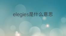 elegies是什么意思 elegies的中文翻译、读音、例句