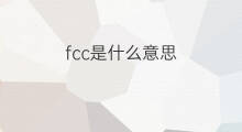fcc是什么意思 fcc的中文翻译、读音、例句