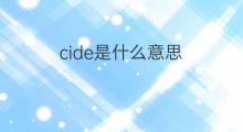 cide是什么意思 cide的中文翻译、读音、例句
