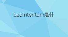 beamtentum是什么意思 beamtentum的中文翻译、读音、例句