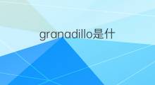 granadillo是什么意思 granadillo的中文翻译、读音、例句