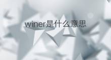 winer是什么意思 winer的中文翻译、读音、例句
