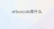 arbuscule是什么意思 arbuscule的中文翻译、读音、例句