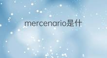 mercenario是什么意思 mercenario的中文翻译、读音、例句