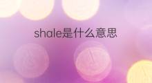 shale是什么意思 shale的中文翻译、读音、例句