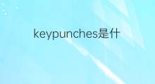 keypunches是什么意思 keypunches的中文翻译、读音、例句