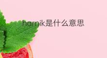 harnik是什么意思 harnik的中文翻译、读音、例句