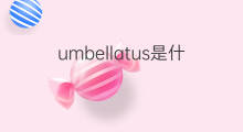 umbellatus是什么意思 umbellatus的中文翻译、读音、例句