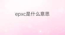 epxc是什么意思 epxc的中文翻译、读音、例句