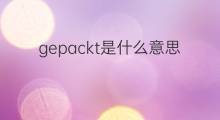 gepackt是什么意思 gepackt的中文翻译、读音、例句