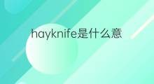hayknife是什么意思 hayknife的中文翻译、读音、例句