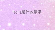 scils是什么意思 scils的中文翻译、读音、例句