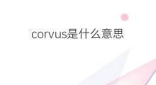 corvus是什么意思 corvus的中文翻译、读音、例句