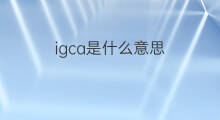 igca是什么意思 igca的中文翻译、读音、例句