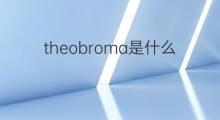 theobroma是什么意思 theobroma的中文翻译、读音、例句