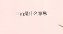 agg是什么意思 agg的中文翻译、读音、例句