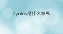 hyalas是什么意思 hyalas的中文翻译、读音、例句