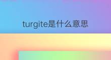 turgite是什么意思 turgite的中文翻译、读音、例句