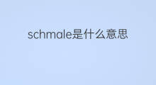 schmale是什么意思 schmale的中文翻译、读音、例句