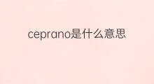 ceprano是什么意思 ceprano的中文翻译、读音、例句