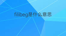 filibeg是什么意思 filibeg的中文翻译、读音、例句
